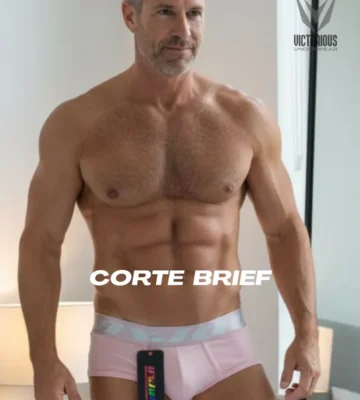 BRIEF